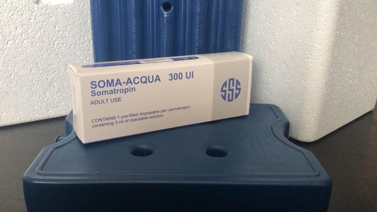 Soma Acqua 300ui - AES LABS