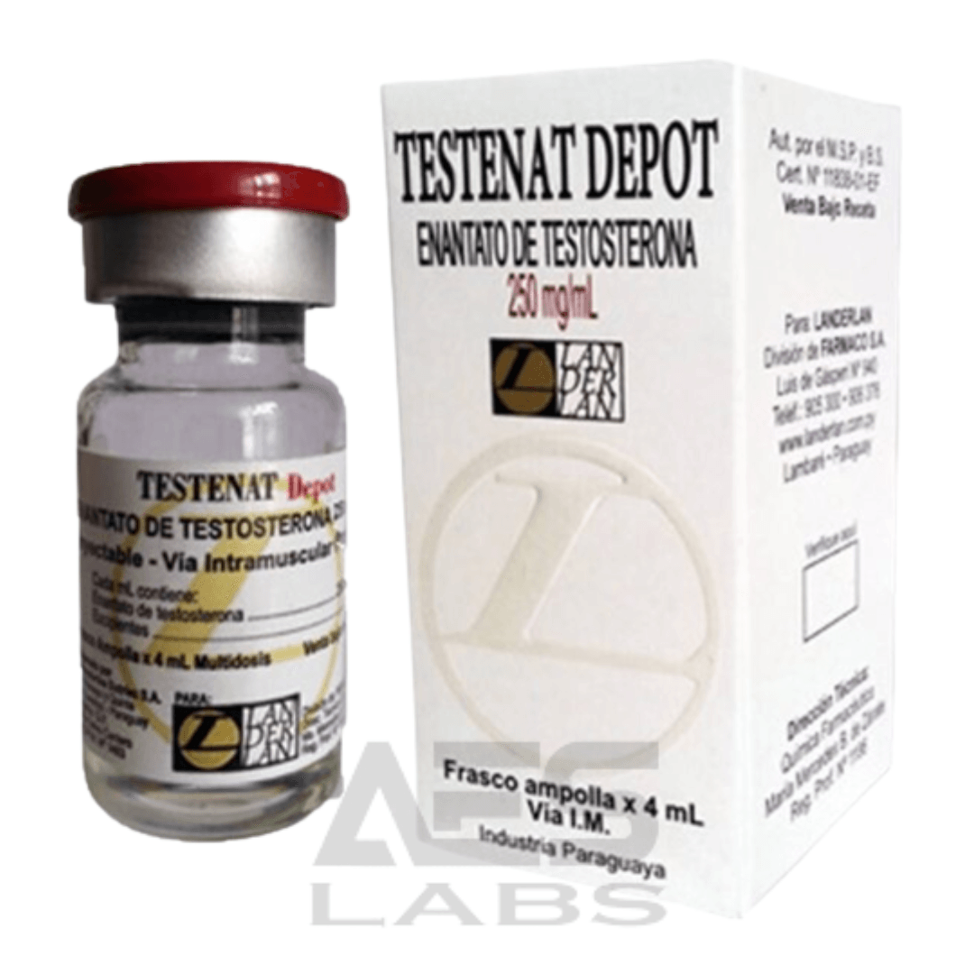 TESTENAT ENANTATO DE TESTOSTERONA 250MG 4ML - LANDERLAN - AES LABS