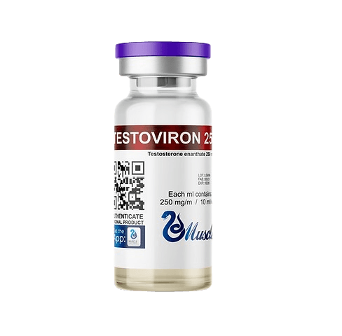 Testosterona Enantato 250mg/ml (10ml) - AES LABS